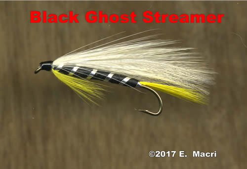 Black Ghost Streamer at www.eugenemacri.com