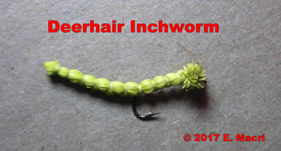 Deerhair Inch Worm Tied and Photographed by Gene Macri ; www.eugenemacri.com